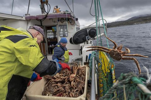 Zwei Fischer sortieren ihren Fang auf dem Boot