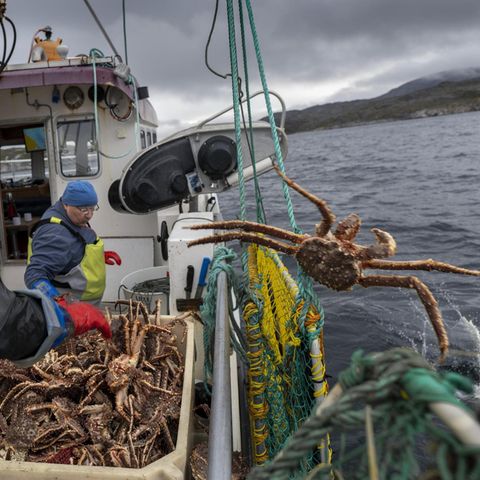 Zwei Fischer sortieren ihren Fang auf dem Boot