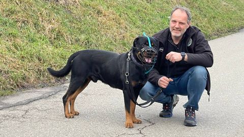 Tierheimleiter Ralf Peßmann trainiert bissige Hunde. Hier kniet er neben einem Hund mit Maulkorb.