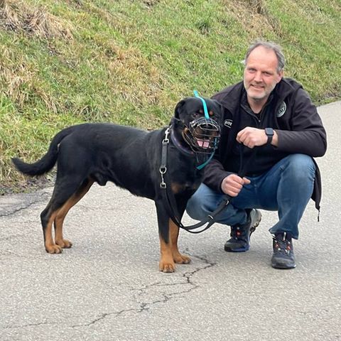 Tierheimleiter Ralf Peßmann trainiert bissige Hunde. Hier kniet er neben einem Hund mit Maulkorb.