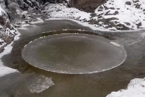 Eisscheibe