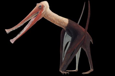 Flugsaurier