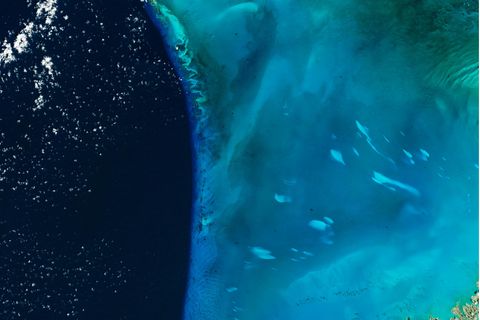 Solche weißen Flecken sind vor der Küste der Bahamas-Inseln immer wieder zu entdecken.