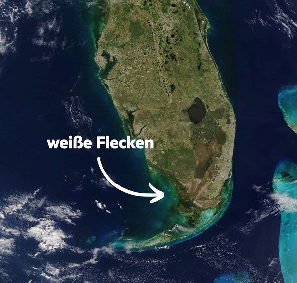 Natur: Studie zu mysteriösen weißen Flecken vor Bahamas-Inseln: Wissenschaftler stoßen auf Rätsel Natur: Studie zu mysteriösen weißen Flecken vor Bahamas-Inseln: Wissenschaftler stoßen auf Rätsel