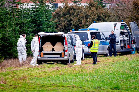 Der Leichnam des 14-Jährigen wurde am Mittwoch in Wunstorf in Niedersachsen entdeckt
