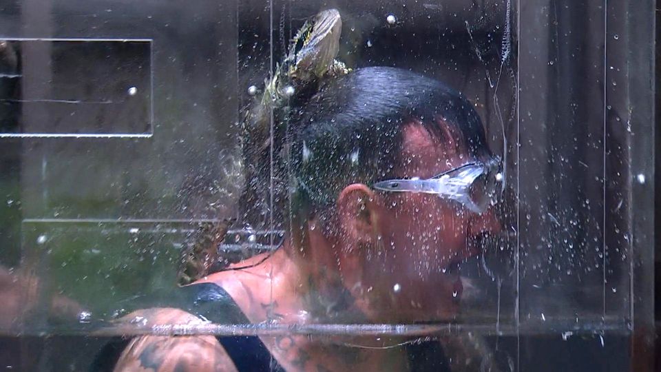 Dschungelcamp: Vermeintliche Schlange stiehlt Cosimo die Show