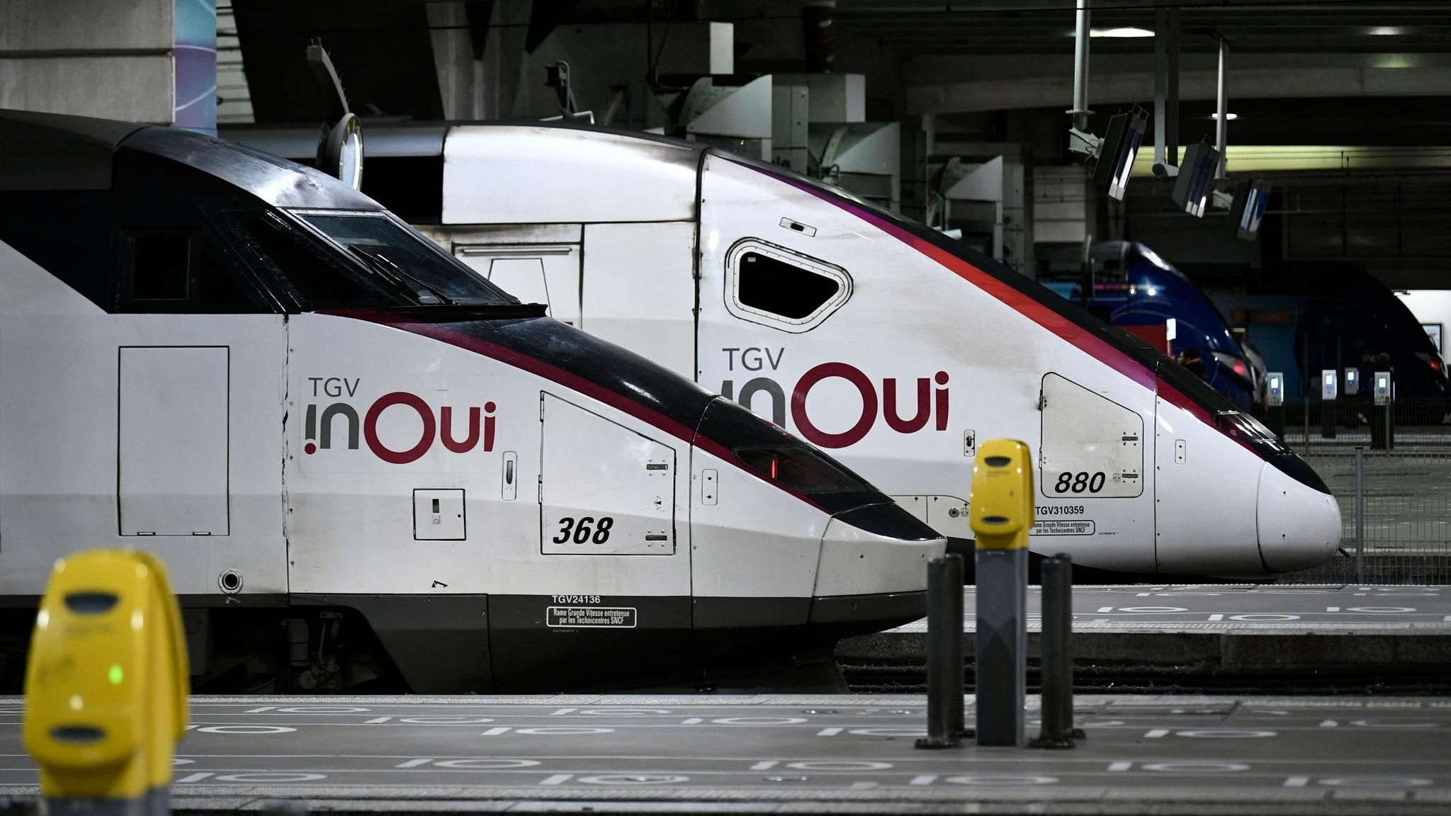 Paris: Zug überrollt bei Abfahrt Kater