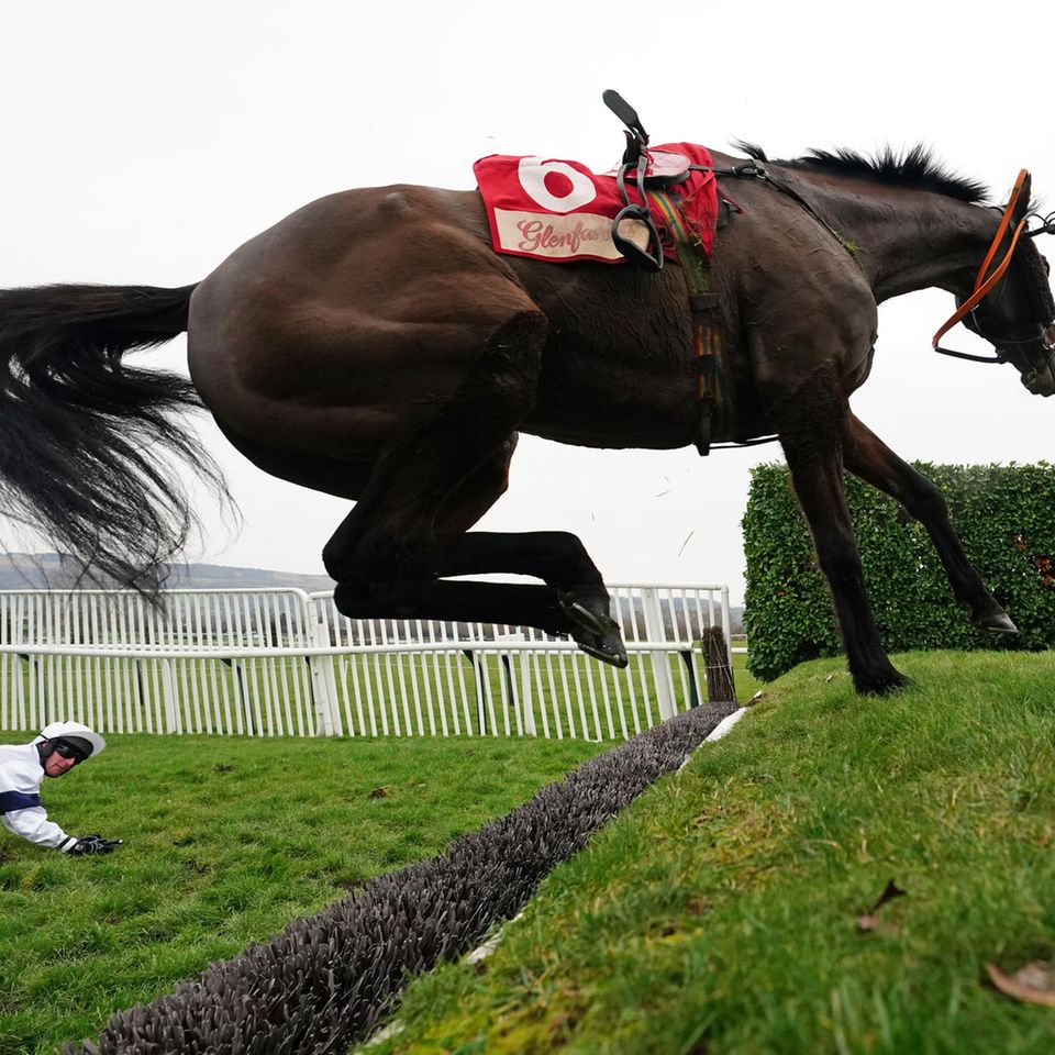 Cheltenham, Großbritannien. Jockey Shane Fenelon kann seinem Pferd Foxy Jacks nur noch hinterher schauen.