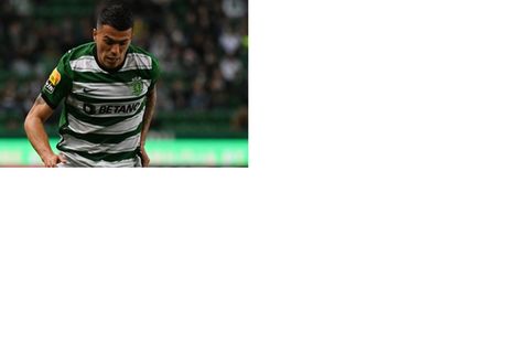 Sporting CP v FC Vizela - Liga Portugal Bwin