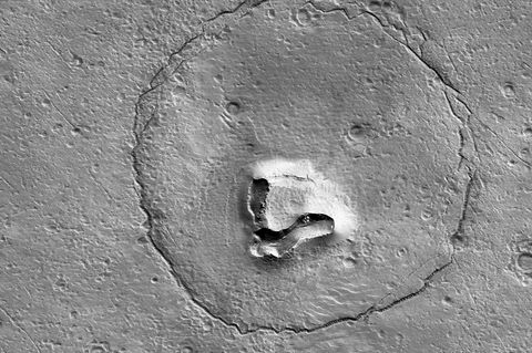 Die "Hirise"-Kamera machte von der Oberfläche des Mars dieses Foto. Ganz klar: ein Bär