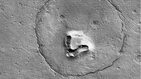 Die "Hirise"-Kamera machte von der Oberfläche des Mars dieses Foto. Ganz klar: ein Bär