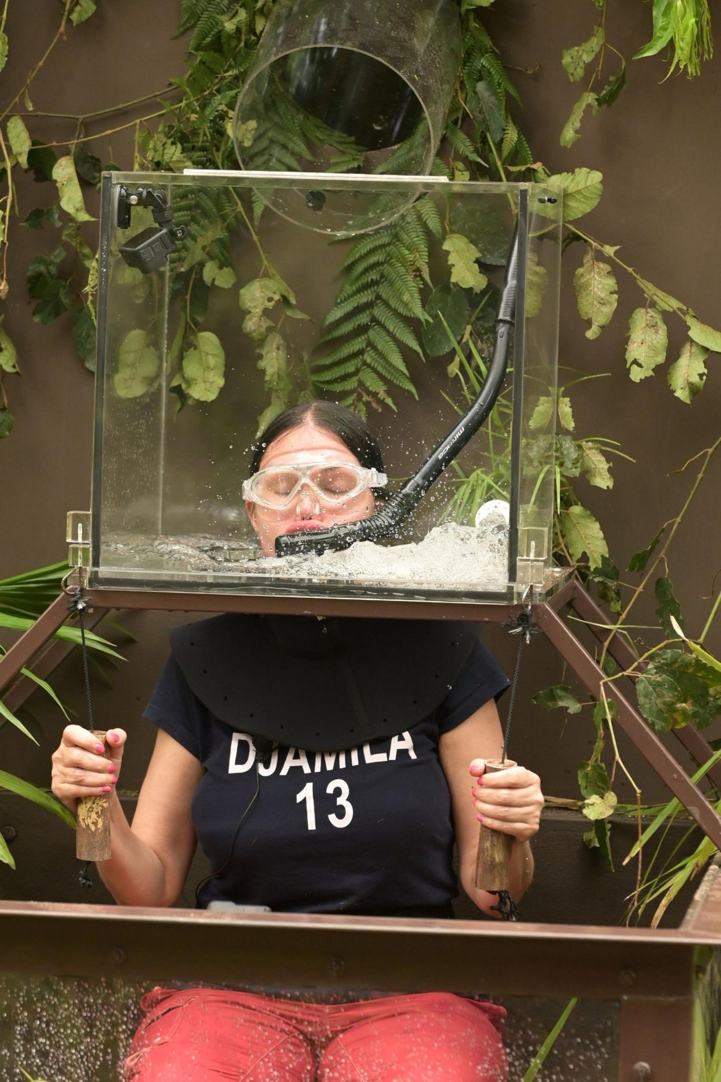 Dschungelcamp 2023