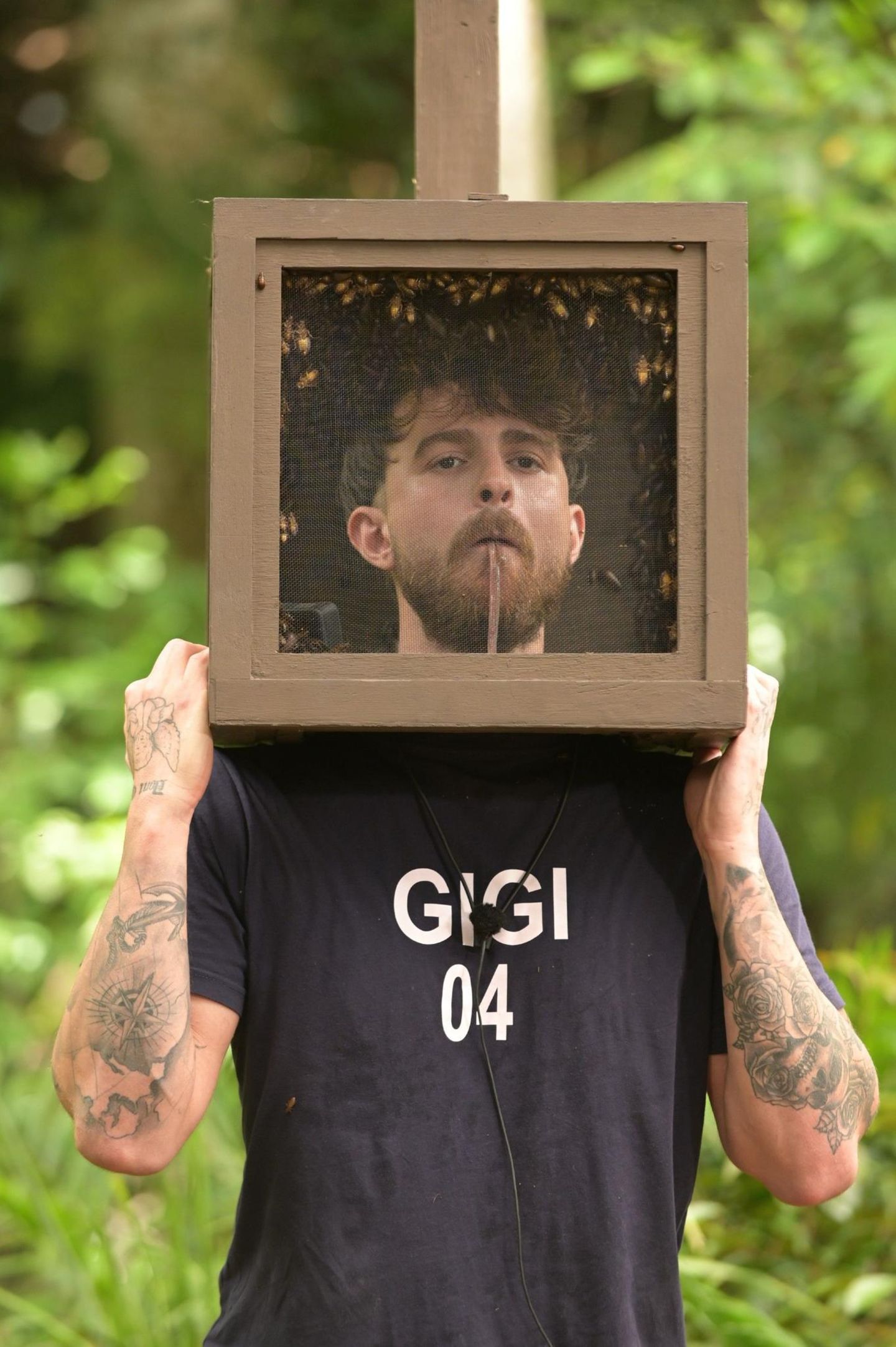 Dschungelcamp 2023