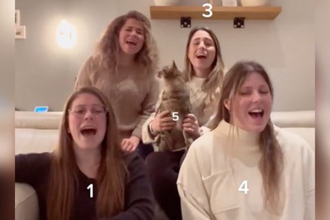 Gesangs-Rätsel: Erkennen Sie, welche dieser vier Sängerinnen laut singt?