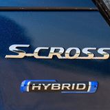 Suzuki Strategie 2031