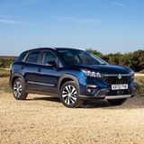 Suzuki Strategie 2031