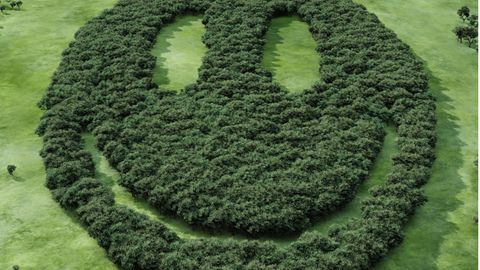 Wald in Smiley-Form