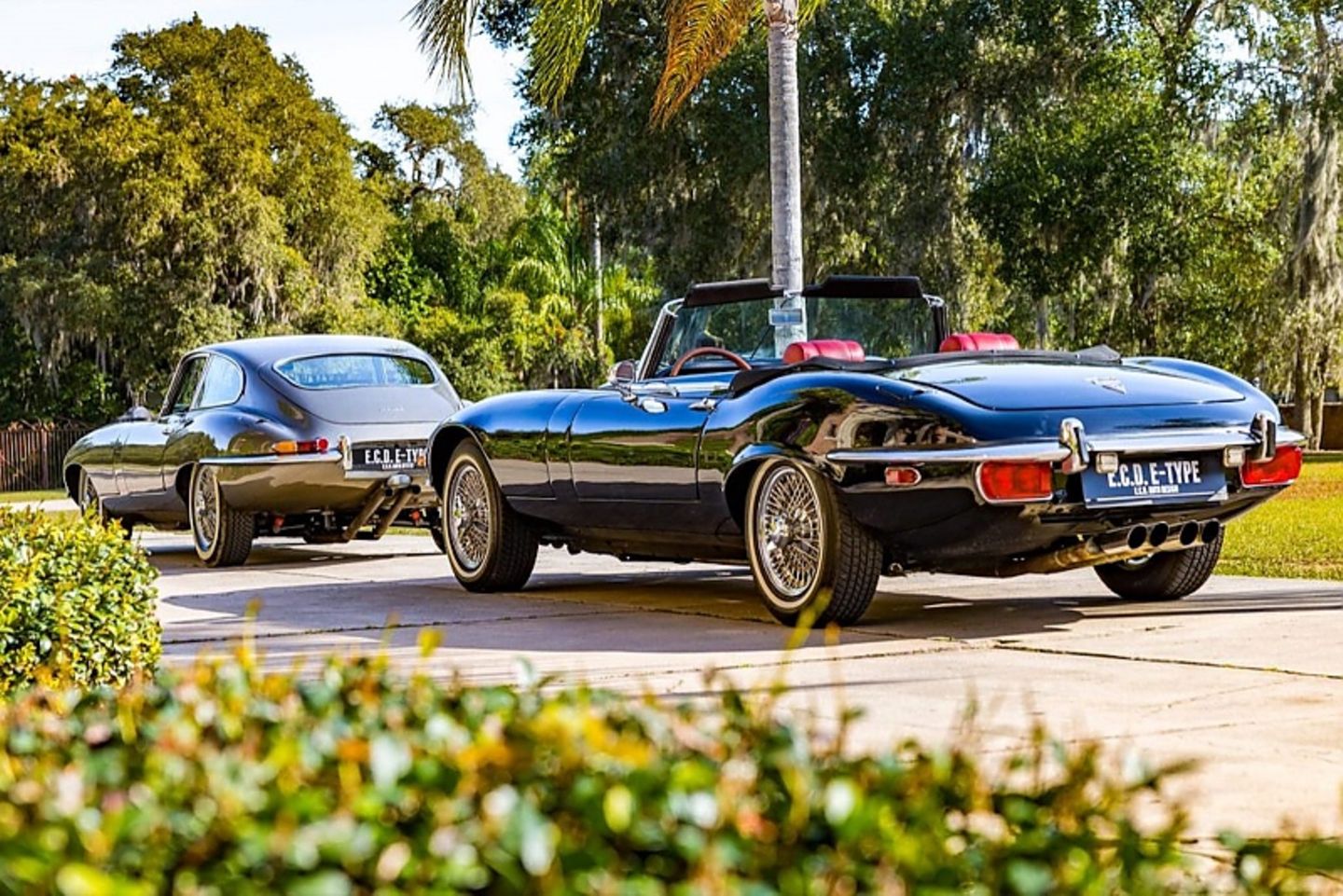 Jaguar E-Type by ECD
