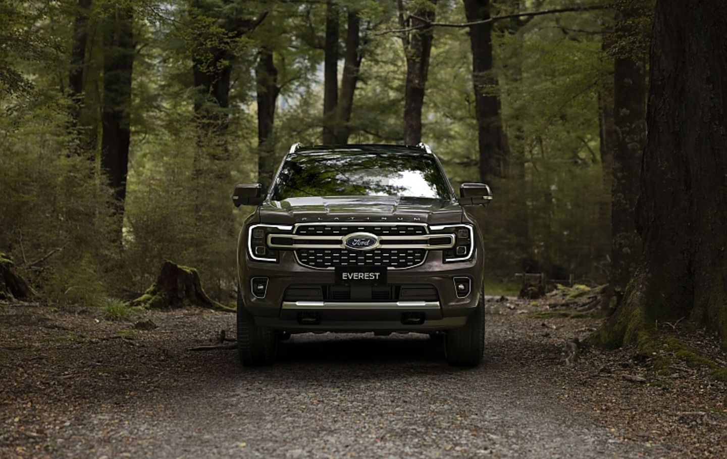 Ford Everest Platinum
