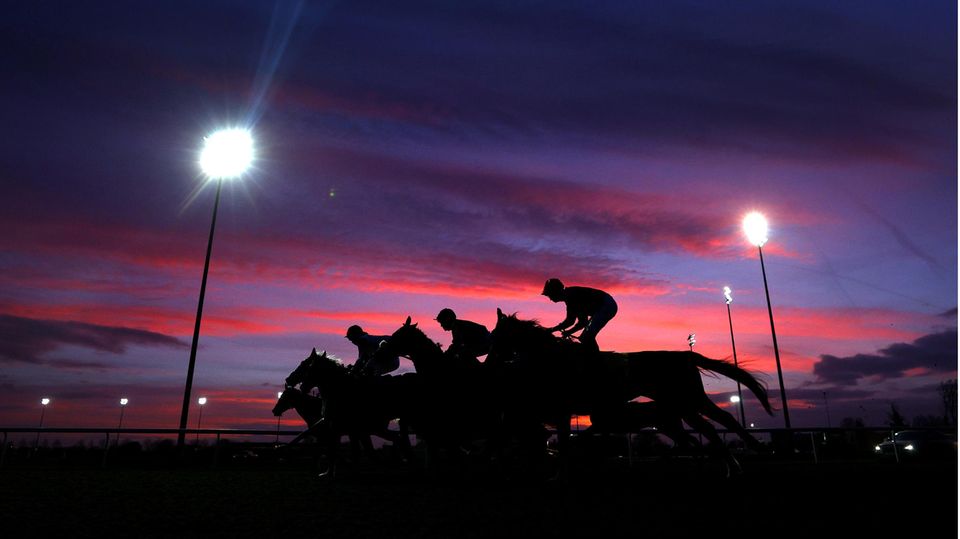 2. Februar: Schattenmänner auf ihren Pferden Sunbury, Vereinigtes Königreich. Der Startschuss ist gefallen. Die Reiter und ihre Pferde kämpfen in der britischen Grafschaft Surrey über Distanz von einer Meile beim Unibet Horserace Betting Operator Of The Year Classified Stakes. Dem Gewinner winken 3140 britische Pfund (rund 3500 Euro).