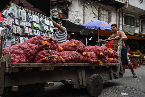 Zwiebeln Manila