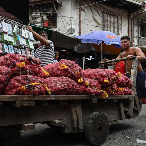 Zwiebeln Manila