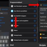 Dann "Skripte" auswählen bis "Programmablauf" herunter scrollen