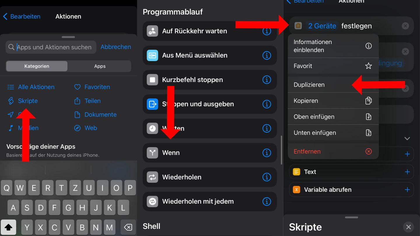 Dann "Skripte" auswählen bis "Programmablauf" herunter scrollen