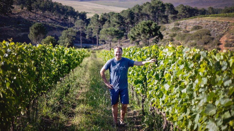 Weingut Creation: Jean-Claude Martins Anspruch ist es, beste Weine zu kreieren Jean-Claude Martins Anspruch ist es, beste Weine zu kreieren