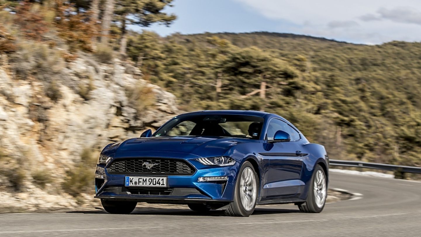 Buyer’s Guide: Ford Mustang V / VI: Galloper of the Year