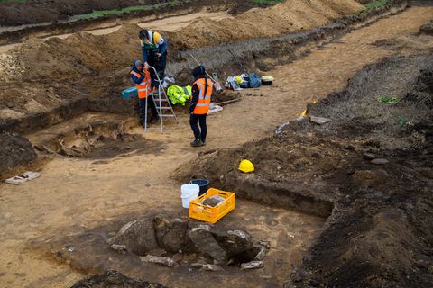 Archäologie: Das gefundene Grab in Halberstadt in Sachsen-Anhalt