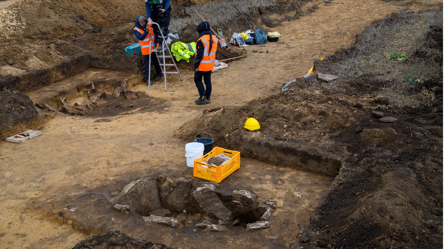 Archäologie: Das gefundene Grab in Halberstadt in Sachsen-Anhalt