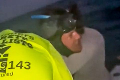 Taucher gerettet – nach Stunden in Hai-Gewässer