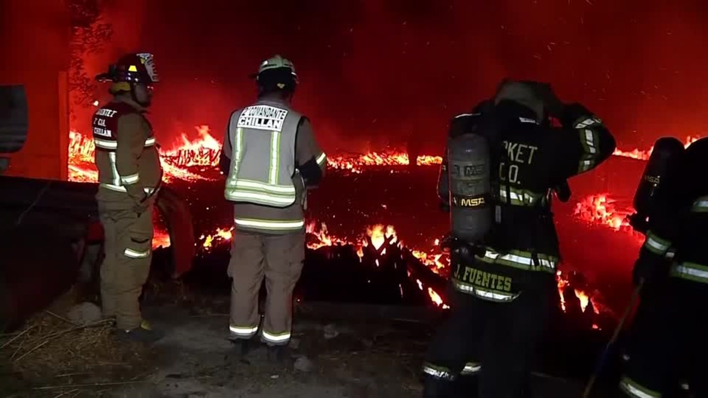 Video: Heftige Waldbrände in Zentralchile lassen Anwohner verzweifeln
