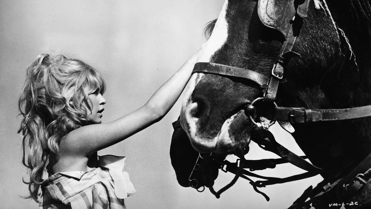 Ihre Liebe für Tiere war schon früh unvergleichlich. Später widmete sie sich voll und ganz dem Tierschutz