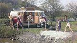 VW T1 Bully