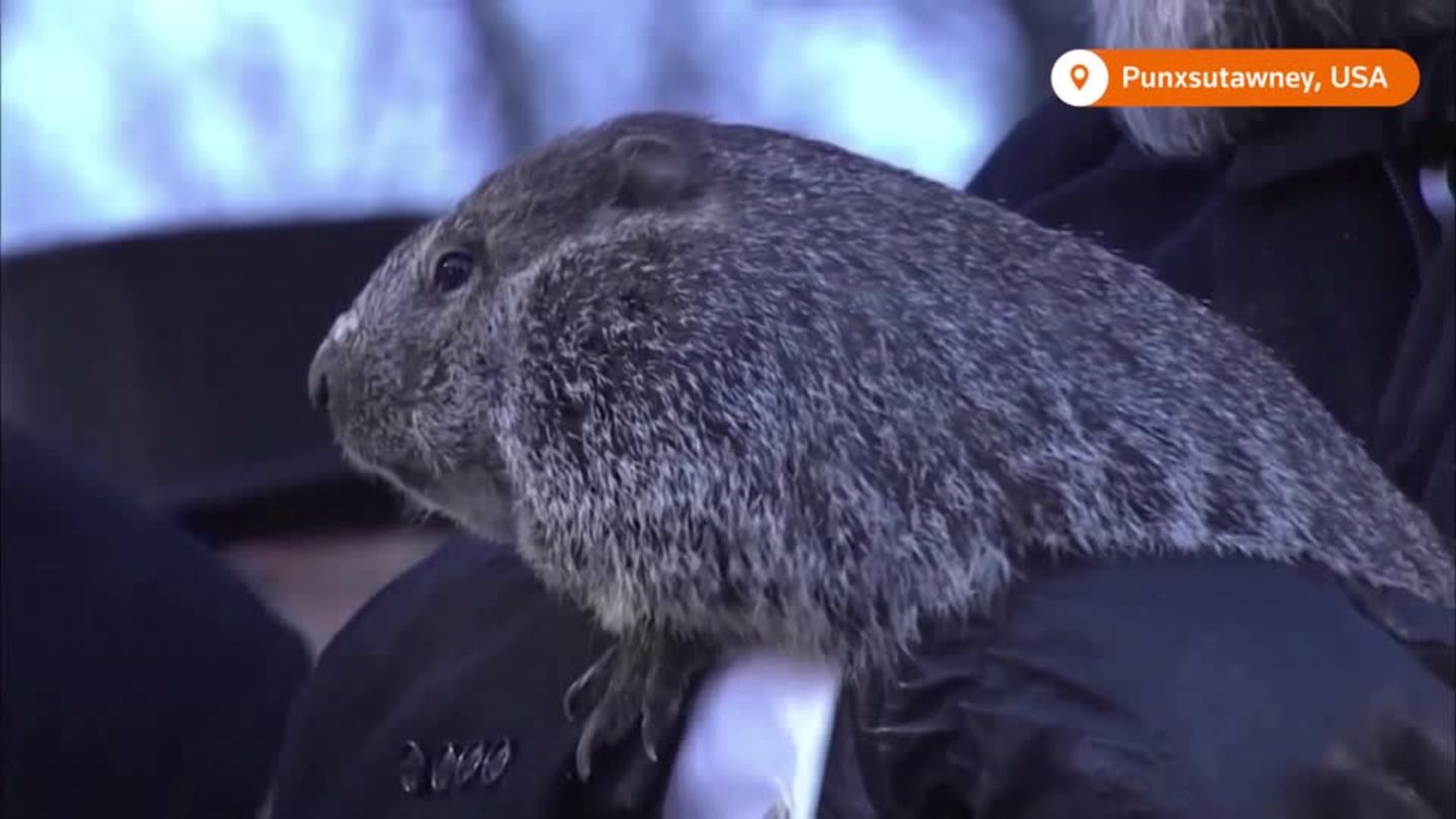 Video: Groundhog Day: Noch sechs Wochen Winter