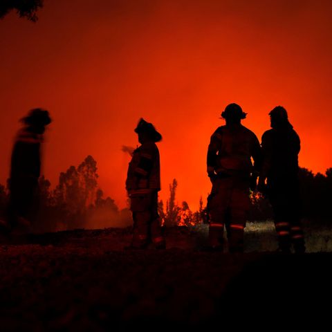 Feuerwehrleute beobachten einen Waldbrand in der Region Araukanien in Chile.