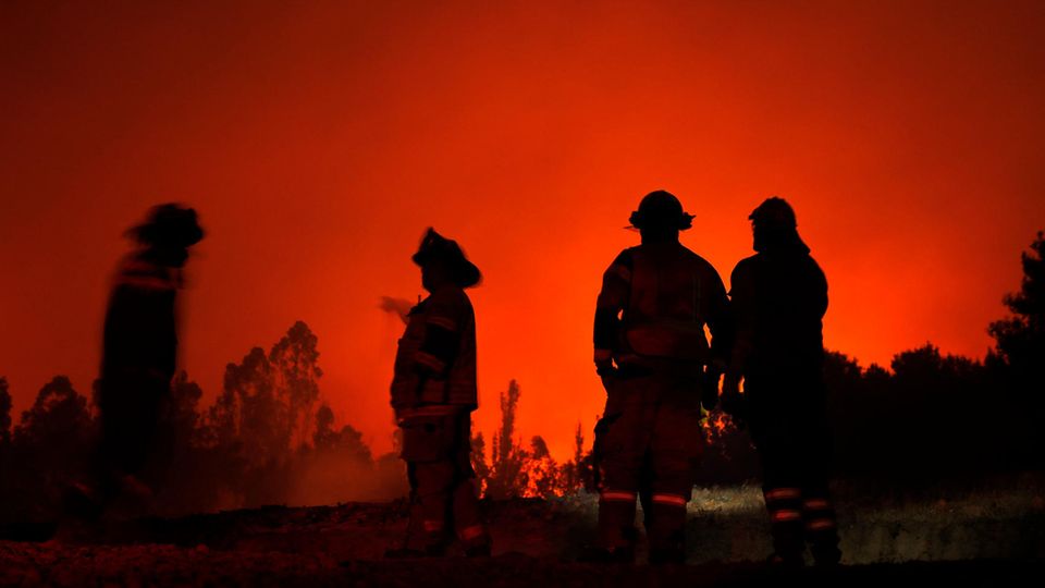 Feuerwehrleute beobachten einen Waldbrand in der Region Araukanien in Chile.