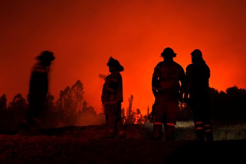 Feuerwehrleute beobachten einen Waldbrand in der Region Araukanien in Chile.