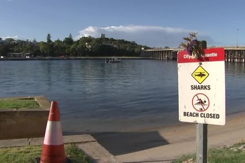 Video: Tödlicher Angriff im Fluß: 16-Jährige stirbt nach Hai-Attacke in Westaustralien