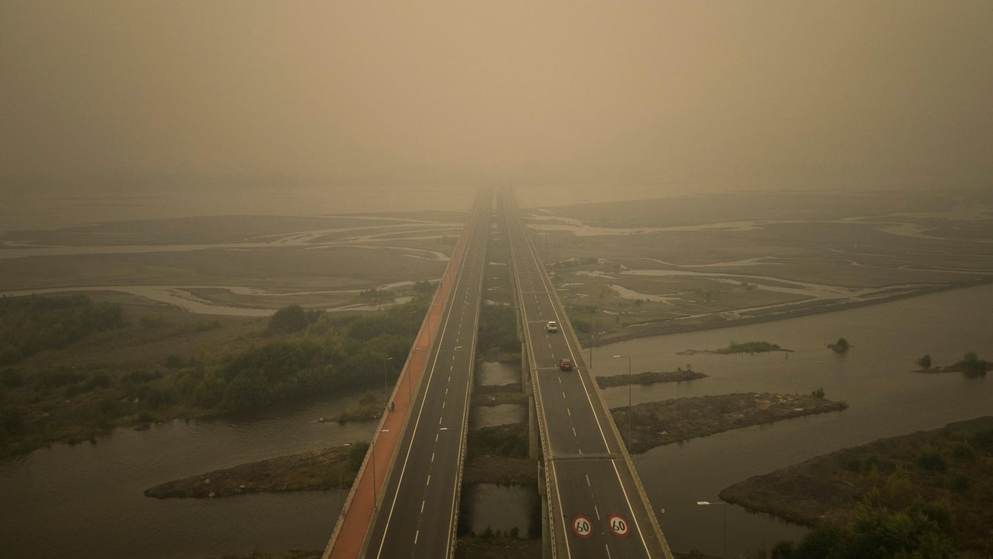 Brücke im nebel
