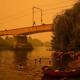 Menschen springen ins Wasser