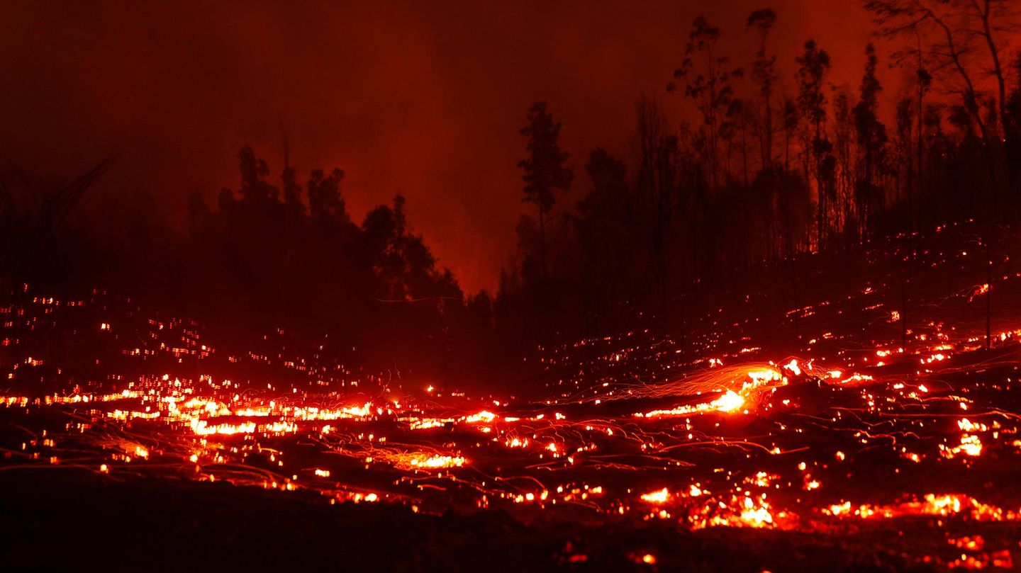 Waldbrände in Chile "Die Notlage wird immer schlimmer" STERN.de