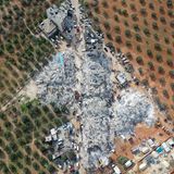 Häuser, die dem Erdboden gleichgemacht wurden – umgeben von grünen Bäumen