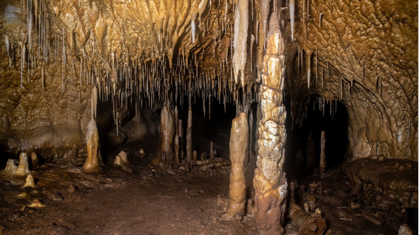 Archäologie: Eine Höhle