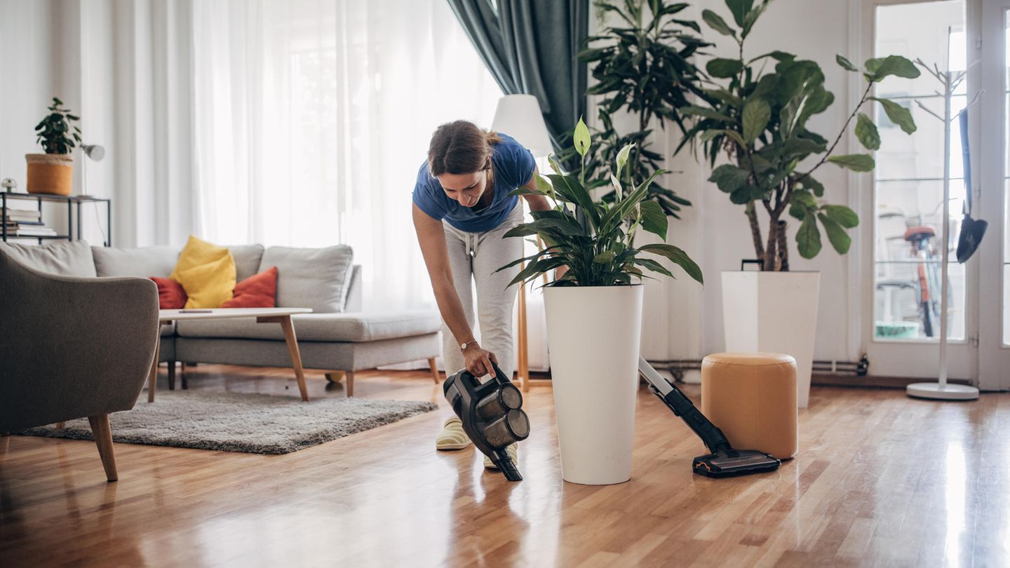 Amazon, Ninja & Co: The best deals from July 14th to 20th, 2025