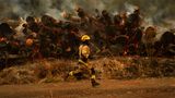 Santa Juana, Chile. Ein Feuerwehrmann bekämpft die Flammen eines Waldbrandes. In Süd- und Zentralchile breiten sich Waldbrände aus, die in einigen Regionen Evakuierungen und die Ausrufung des Notstands zur Folge haben.