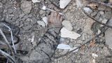 Ein totes Kind liegt mit Staub bedeckt und ausgestreckter Hand auf den Trümmern eines zerstörten Gebäudes