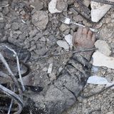 Ein totes Kind liegt mit Staub bedeckt und ausgestreckter Hand auf den Trümmern eines zerstörten Gebäudes